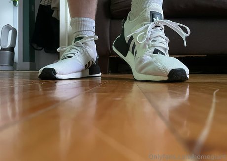 homegiant perfect model images