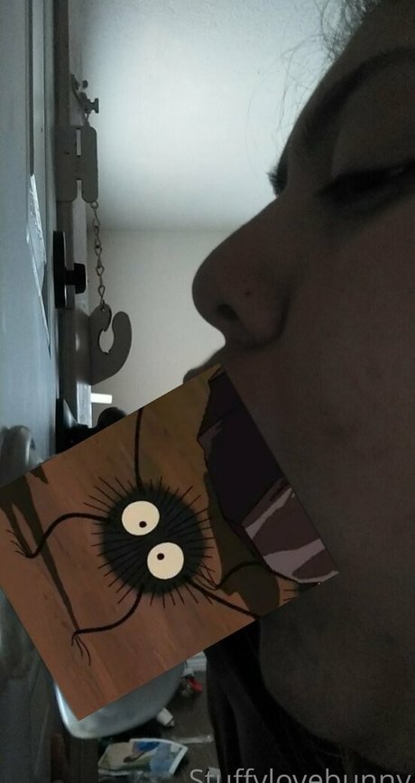 StuffyLoveBunny star nice photo