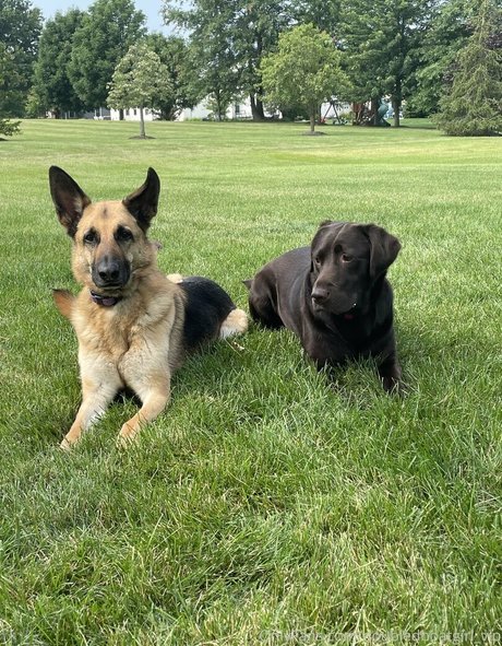 doubledboatgirl vip beautiful star galleries