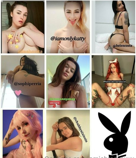 jamiebrookexxx star archive