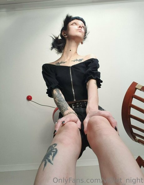 vi0let night nice model img