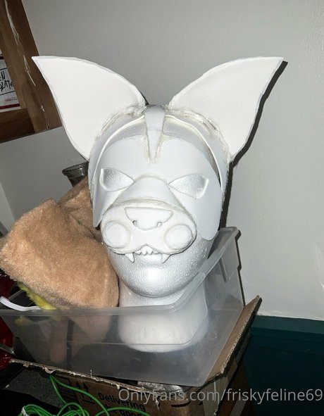 friskyfeline69 star perfect picture