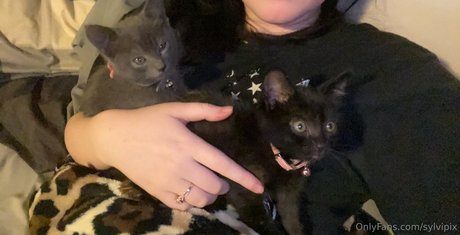 sylvipix pornstar beautiful images