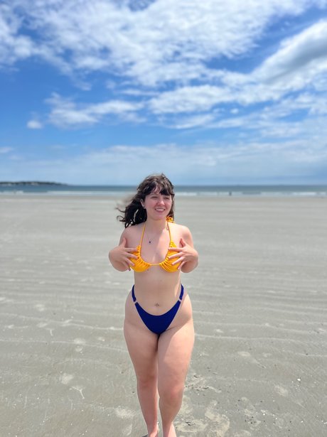 Pawgalert star top picture