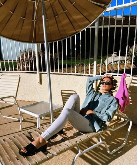 Sher Arar star free archive