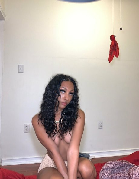 burlz exclusive pornstar archive