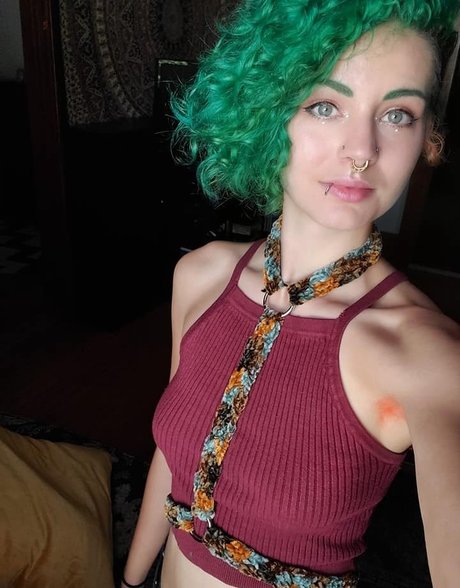 SchlebBzz hd model picture