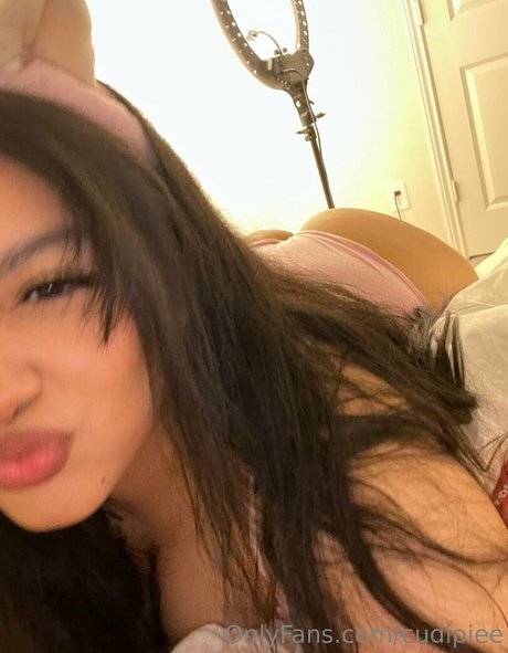 cudipiee pornstar adult archive