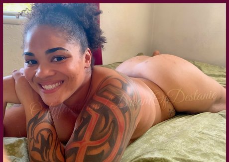 DreamofDestanie model art image