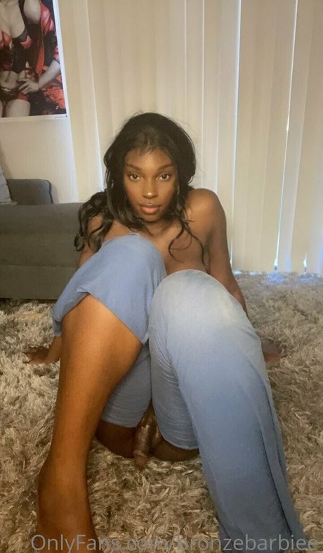 bronzebarbie2 high quality model gallery