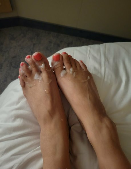 dztoesss model archive