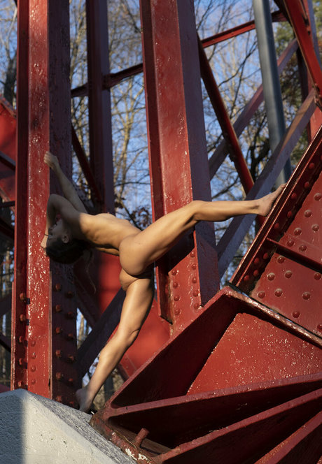 loracr0ss best star archive