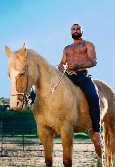 thesharok exclusive pornstar img