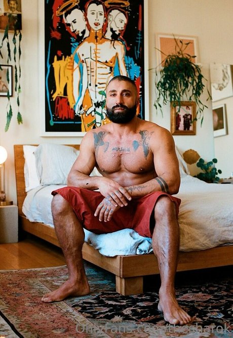 thesharok star top gallery