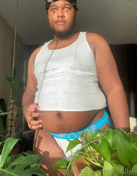 beefish star erotic photo