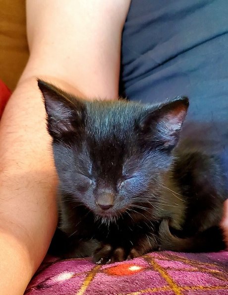 gaefaeinc xxx star photo