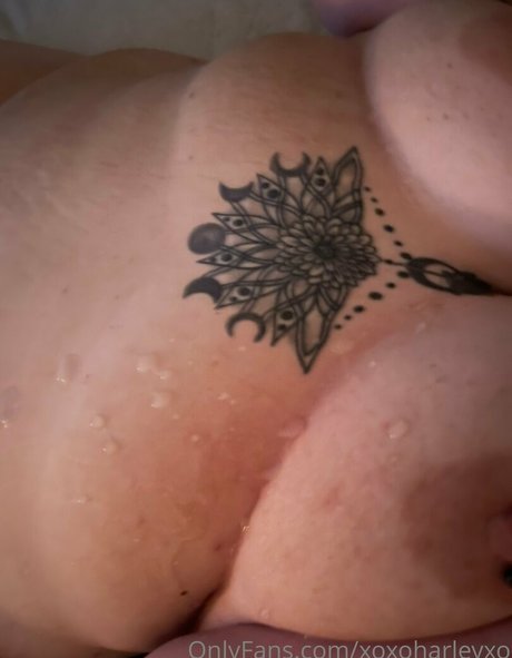 mirror onlyfans xxx archive