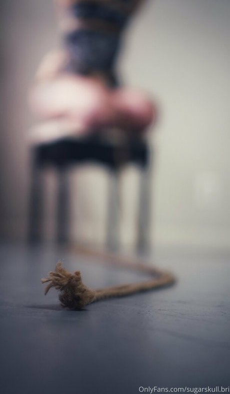 sugarskull bri star exclusive pic