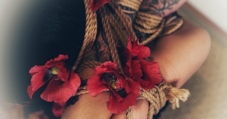 sugarskull bri beautiful pornstar pics