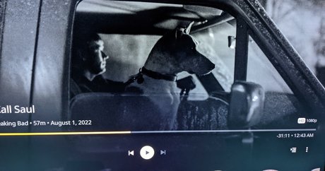 Natalie Minx nice star photos