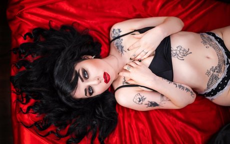 whiskey shotz star porn picture