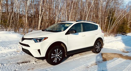 pashavixen star nice pics