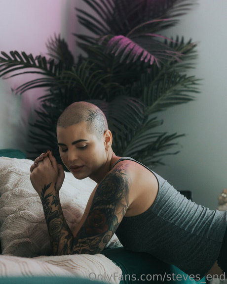 steves end exclusive star gallery