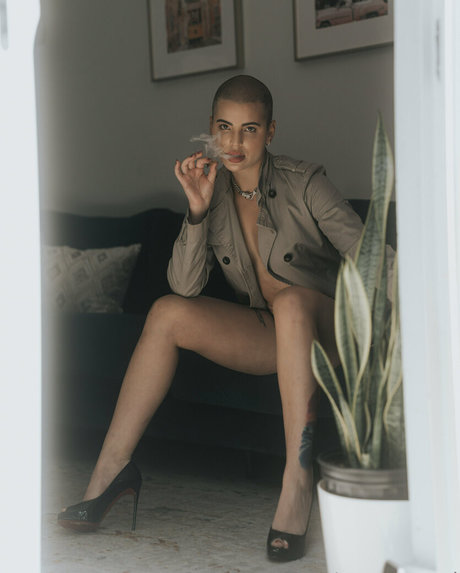 steves end pornstar best images