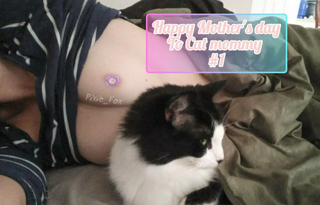 megfish star high quality archive