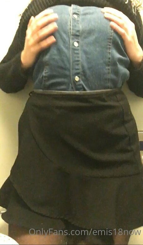 emis18now model best img