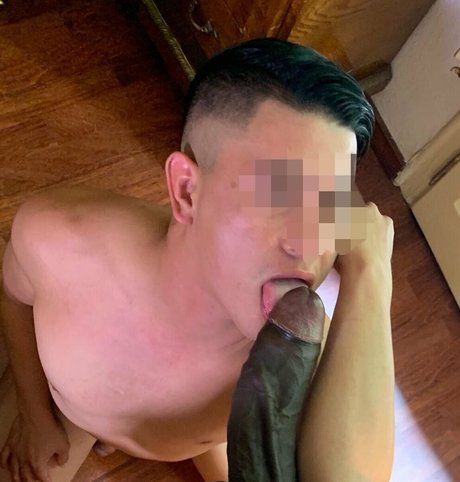 eeubacelar model top pic