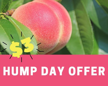 scarlettmrose sexy star photo