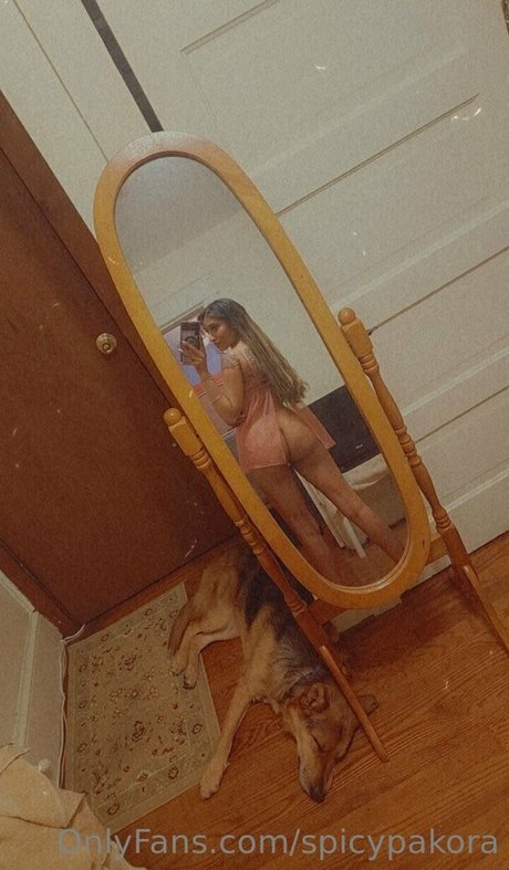 Spicypakora nice pornstar img