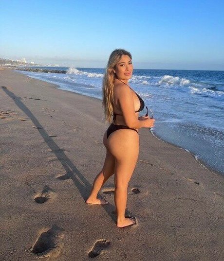 seeedollazz model best img