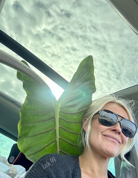 Lish 99 perfect star image