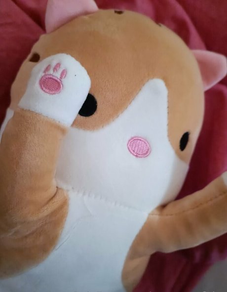 mysecretfairy hot pornstar gallery