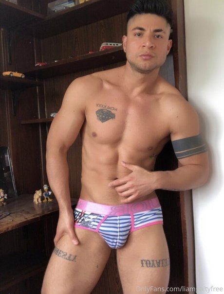 liamgaltyfree top pornstar pics