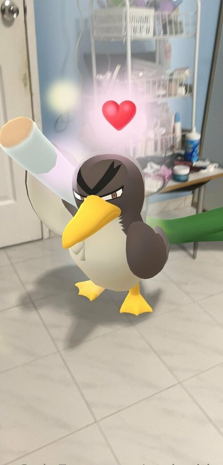 qt jackie pornstar hot pic