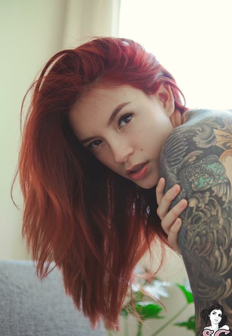 Cvrmillv model top photo