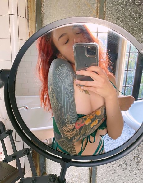 Cvrmillv model nice picture