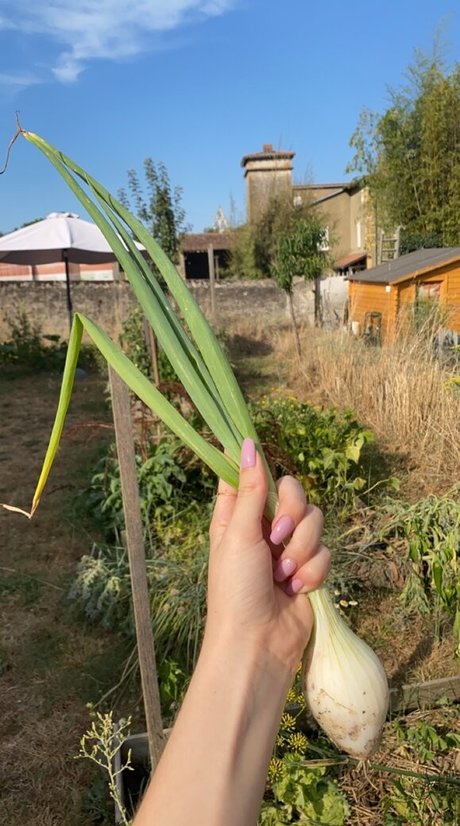 Blondedouce star free picture