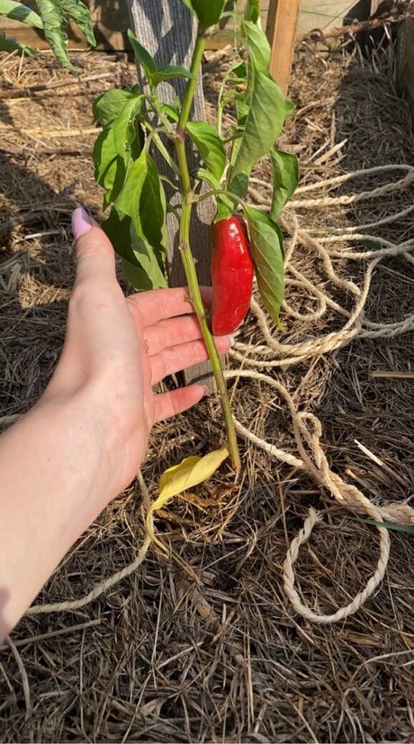 Blondedouce model best pics