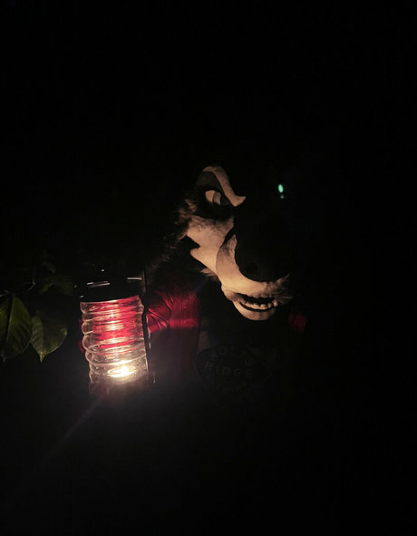 emmawerewuff top actress pic