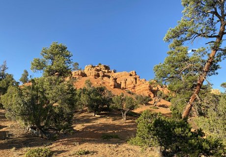 emmawerewuff star sexy galleries