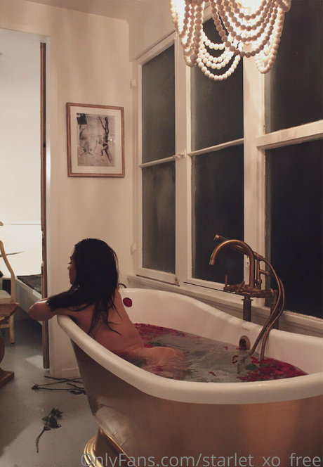 starlet xo free actress photo