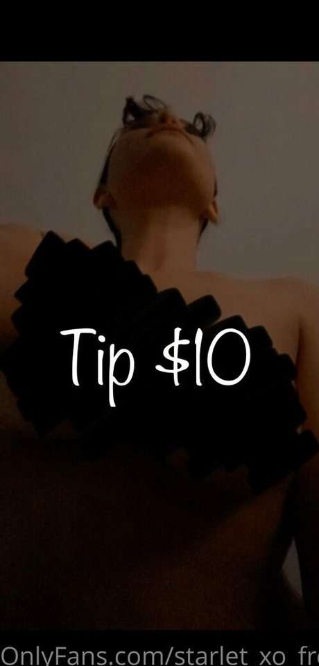 starlet xo free star sex galleries