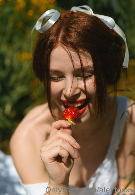 alexfoxxy beautiful star galleries