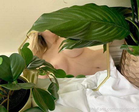 rosegoldxn nice star image