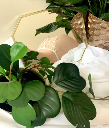 rosegoldxn pornstar nude images