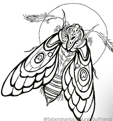 sxtxnsharlot star xxx galleries